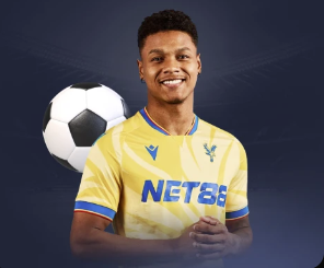 KINGKONG金刚官网